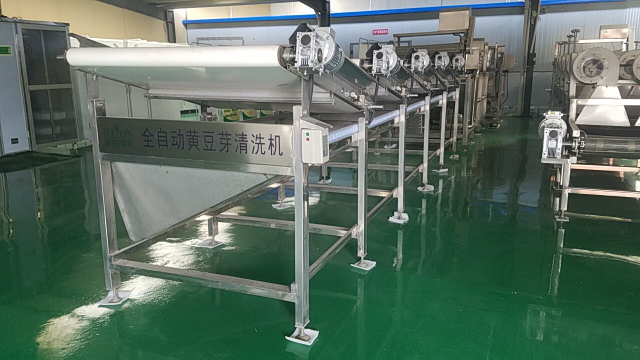 大型黃豆芽去皮機