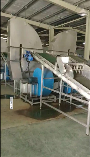 大型風能豆芽去殼機