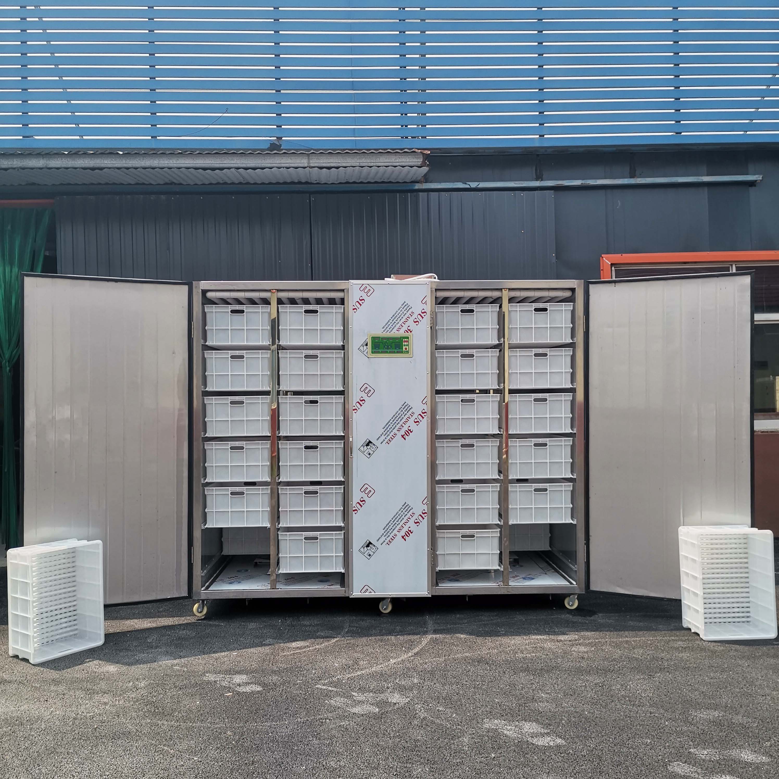 DS-800型不銹鋼豆芽機